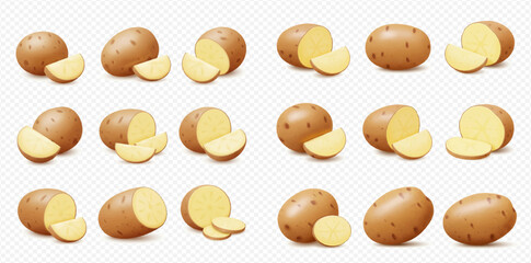 Collection of whole and sliced potatoes, realistic illustration.