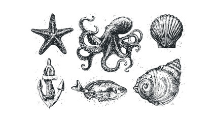 Collection of Marine Life and Nautical Symbols in Sketch Style. Vector hand drawn illustration