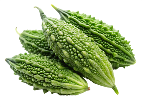 Bitter melon isolated on transparent background, also known as bitter gourd or karela
