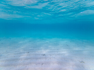 Calm underwater view of a sandy ocean floor beneath clear blue water.