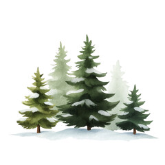 Watercolor Pine Trees with Snow on Plain Setting