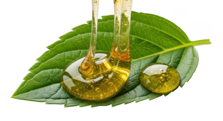Nature's elixir golden liquid pouring onto vibrant green leaf for organic wellness