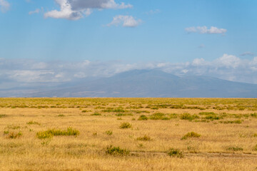 The vast golden plains of the Serengeti stretch endlessly toward the horizon, with distant...
