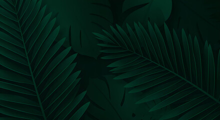 Minimalist and stylish dark green tropical foliage background with layered palm and monstera leaves.