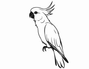 Cockatoo bird Silhouette digital Art, Intricate Powerful and Ready for Print or Web, Sharp Details. Strong Identity. Timeless Design