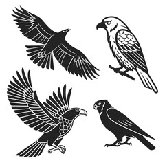 Obraz premium set of vector birds