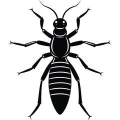 termite vector