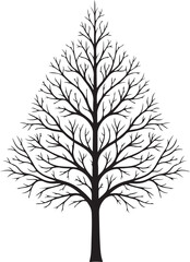 Black Silhouette of a Bare Tree with Intricate Branching on a White Background winter tree deciduous tree