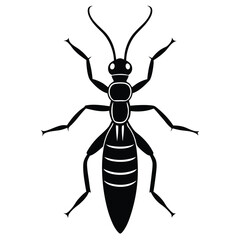 termite vector