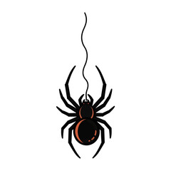 black spider on white background