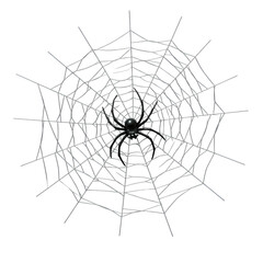 Fototapeta premium Spider in Web: Intricate Design Element
