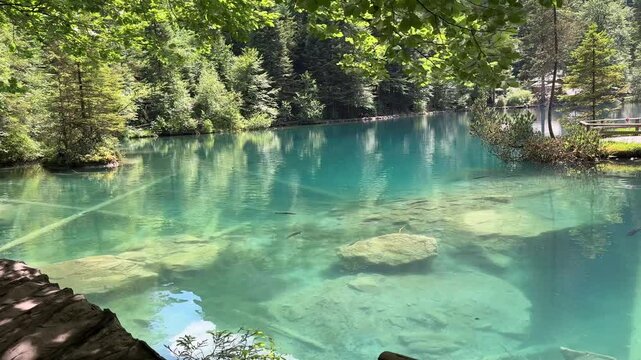 Crystal-clear Blausee lake in Switzerland, where the water is so transparent you can see fish swimming below. Pristine alpine nature, peaceful atmosphere, and stunning natural beauty. Kandergrund 