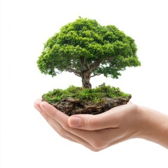 A hand gently cradling a miniature tree, symbolizing care for the environment and growth