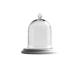 Bell jar elegant home decor