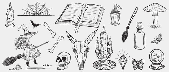 Hand-drawn sketch set of mystical and Halloween-themed elements including a witch, skull, and magic items. Vintage vector sketch illustrations. Witchcraft set. Decoration, drawings set.