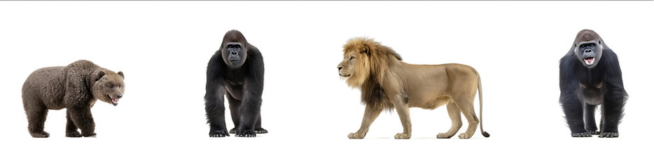 A lion an elephant and two gorillas standing in front of each other on a white background An angry bear roaring at the camera A proud monkey posing for a phot