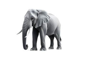 Obraz premium elephant