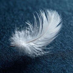 Delicate white feather rests on a textured blue surface, evoking lightness and fragility.