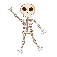 cute halloween skeleton with transparent background