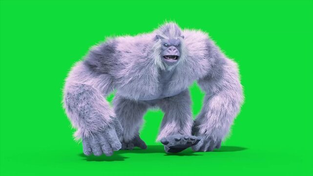 Green Screen Yeti, Gorilla, Snow Monster Walkcycle Loop Front 3D Rendering Animation CGI 4K Fur