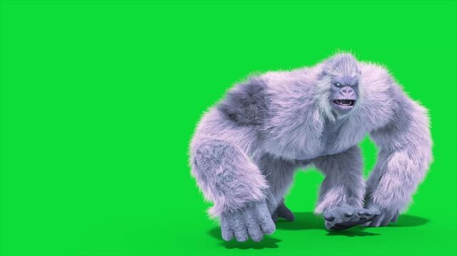 Green Screen Yeti, Gorilla, Snow Monster Walks Front 3D Rendering Animation CGI 4K Fur