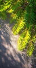 Fototapeta premium Vibrant green palm fronds cast intricate shadows on a light gray surface, showcasing a sunny outdoor scene.
