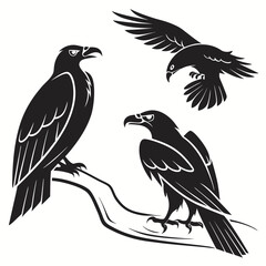 set of vector birds