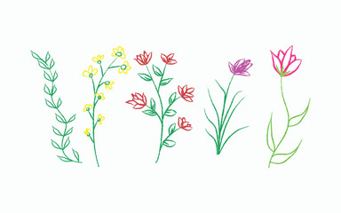 Colorful floral doodles of flowers and leaves illustration on white background