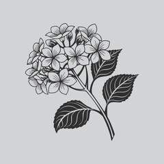 Hydrangea Bloom Silhouette Artwork