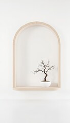 Fototapeta premium Bonsai tree in white ceramic pot placed inside an arched shelf against a clean white background creates a serene and minimalist aesthetic