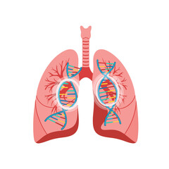Obraz premium Exploring the genetic basis of lung health and respiratory diseases with dna strand illustrations inside lungs