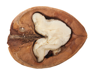 Walnut isolated on white background.