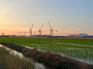 Construction tower cranes on a farm site. Yellow construction tower crane isolated on blue sky with white clouds background and front have farm rice. 