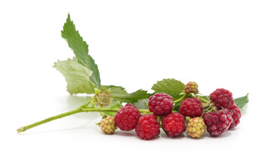 Red berries raspberries.