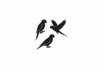 Rainbow Lorikeet bird vector silhouettes black image made by adobe illustrator with white color back round. .eps