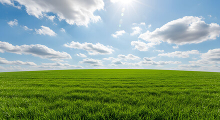 Obraz premium Vibrant green field stretching under a bright blue sky with fluffy white clouds.