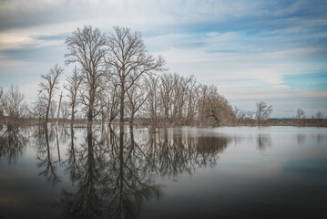 landscape of a flooded river in northern Ukraine