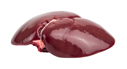 Raw beef liver isolated on transparent background, a fresh and nutritious ingredient for cooking, offering protein and health benefits, perfect for culinary creations and restaurant dishes