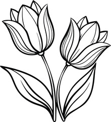 Elegant blooming tulip flowers line art floral design isolated on white background isolated on transparent background