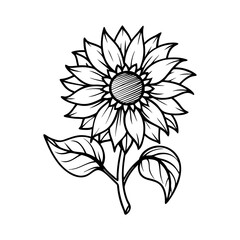 Detailed black and white sketch of a blooming sunflower with leaves isolated on white background isolated on transparent background