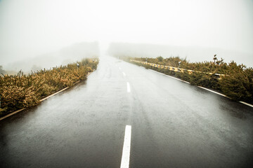road on a foggy rainy day