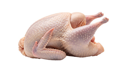 Whole raw chicken isolated on transparent background, showcasing its fresh and uncooked state, perfect for culinary preparations and various dishes
