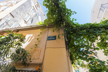 A picturesque, narrow alleyway in the historic old town of Corfu, Greece, is shaded by a lush green canopy of vines hanging over the cobblestone street on a sunny day.