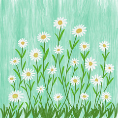 White daisy flowers in meadow landscape