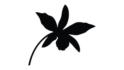 Orchid Silhouette: A minimalist silhouette of an elegant orchid, evoking a sense of calm and grace. Perfect for design projects that require simplicity.