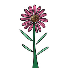 Cute red flowers have leaf on white background