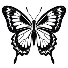 butterfly vector illustration