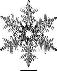 Detailed black and white snowflake illustration, winter design, intricate snow crystal, seasonal decoration, holiday art, frost pattern drawing