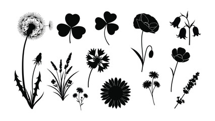 Floral Silhouette Ensemble: A collection of exquisite flora silhouettes, including delicate dandelion, clover, poppy, and other botanicals in stark black and white.