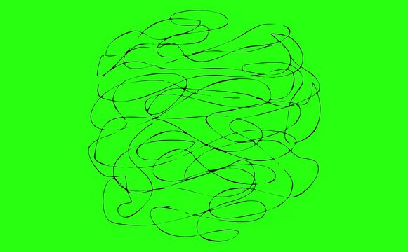 vector illustration of a cabbage vector illustration of a man with green leaves